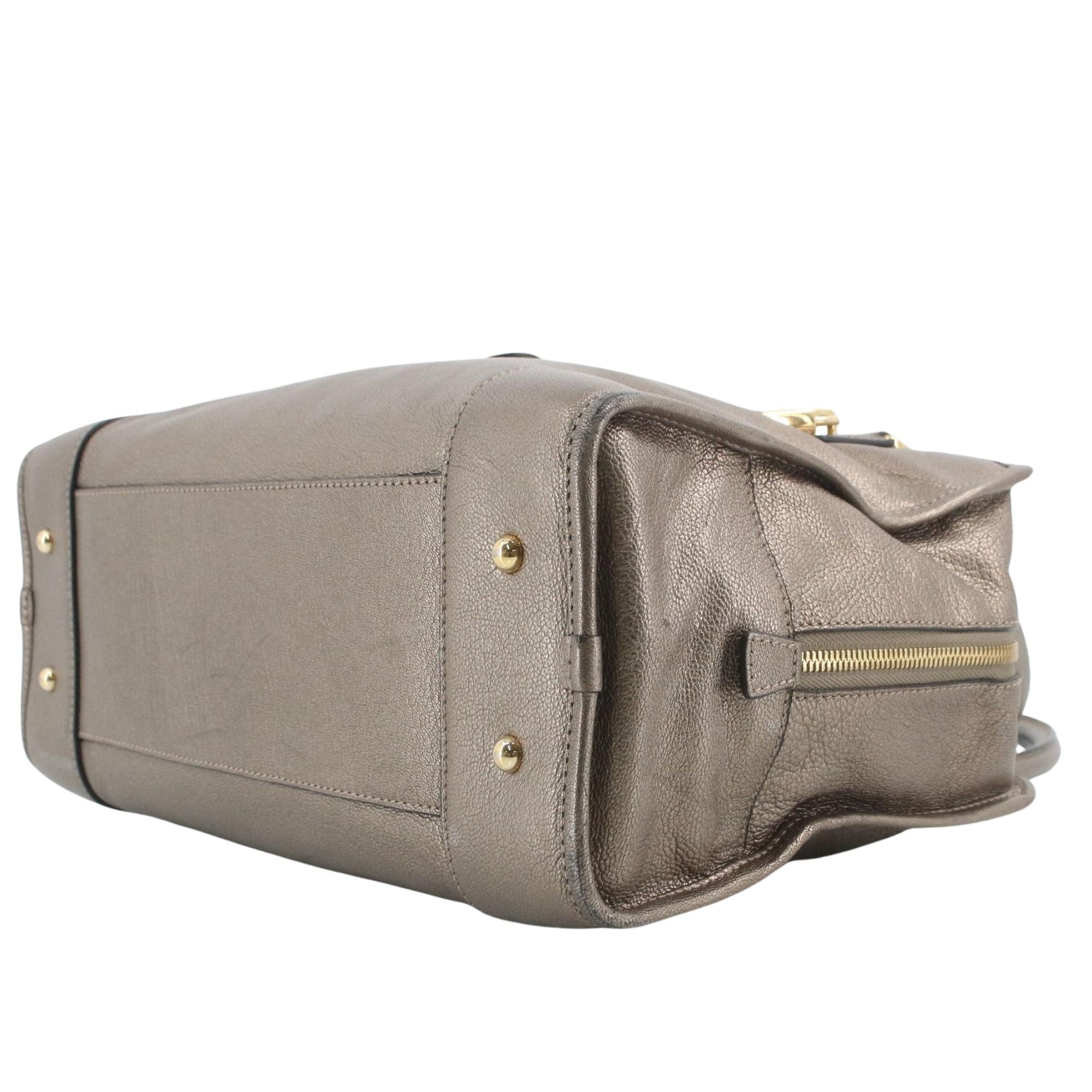 Loewe Amazona Piel Metalizada Bronce