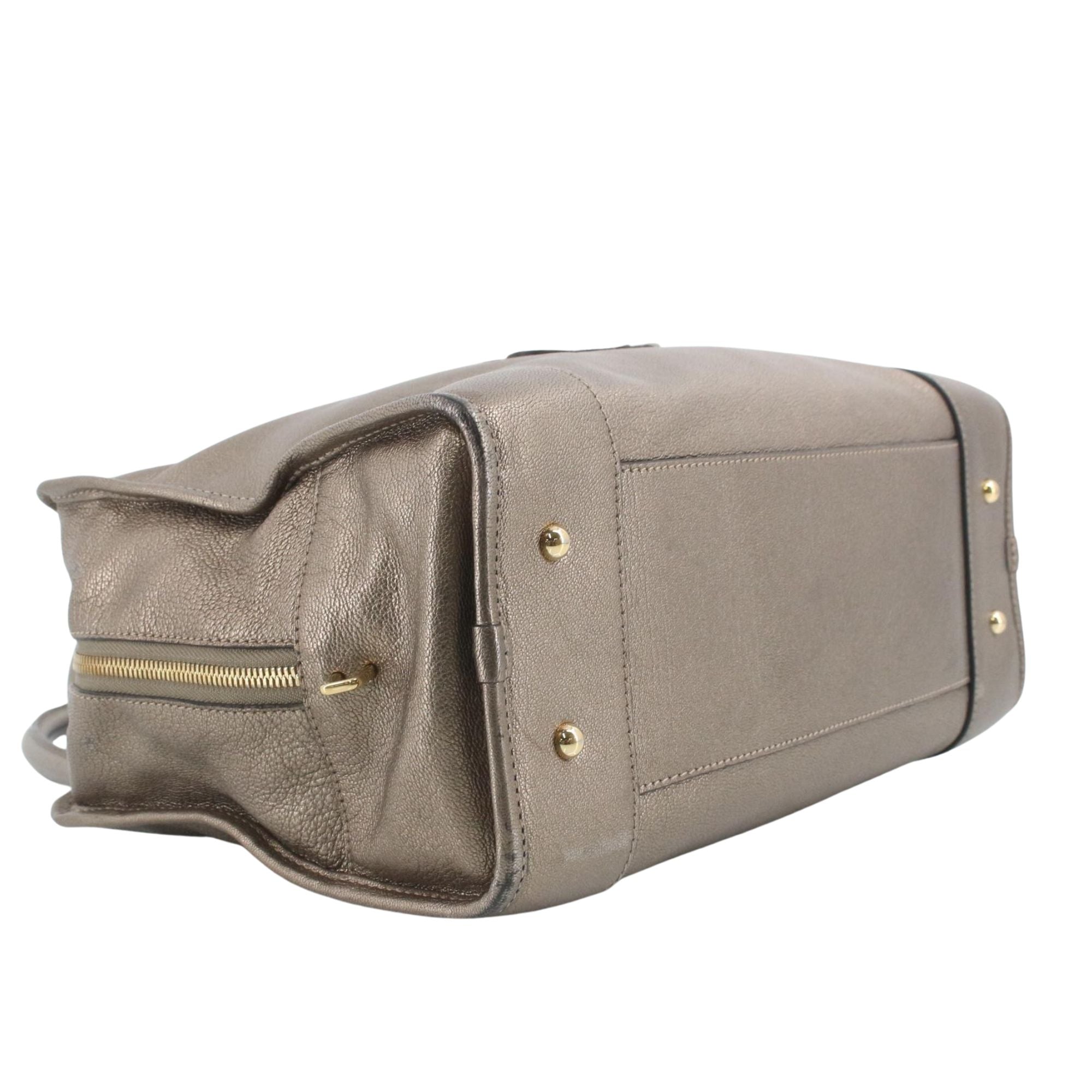 Loewe Amazona Piel Metalizada Bronce